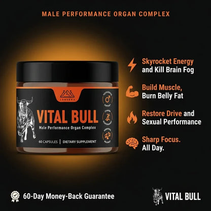 Vital Bull – Male Beef Organ Complex