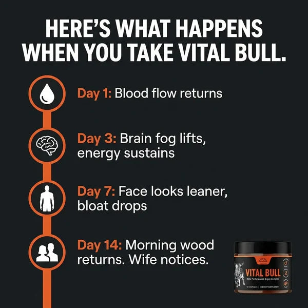 Vital Bull – Male Beef Organ Complex